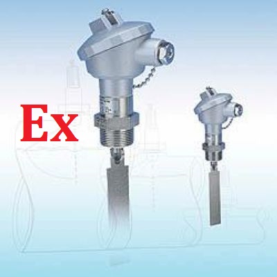 ExdbIIBT4 / CT6 ATEX SS304 Flow Switches